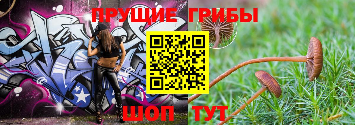 Псилоцибиновые грибы Psilocybe Заречный